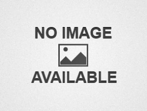 Исторические сведения о епархии