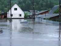 146a55a32701f3b5282b8e917be50d78