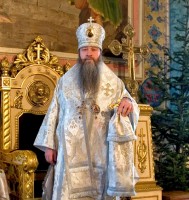 Владвыка кр. план