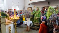 Праздник Входа Господня в Иерусалим в Кафедральном соборе г. Карасука (видео)