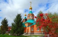 Архиерейское служение в Кафедральном соборе г. Карасука (видео)