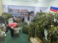 Наши волонтеры награждены нагрудными знаками «За содействие Специальной военной операции»