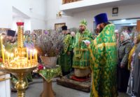 Архиерейская Литургия в день празднования Входа Господня в Иерусалим в кафедральном соборе г. Карасука